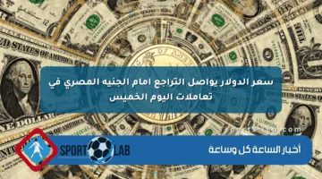 سعر الدولار يواصل التراجع أمام الجنيه المصري في تعاملات اليوم الخميس
